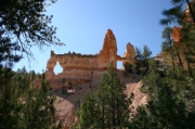 06 - Bryce Canyon NP (21)